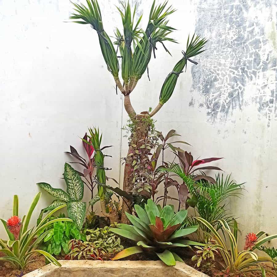 tropical garden with retaining wall