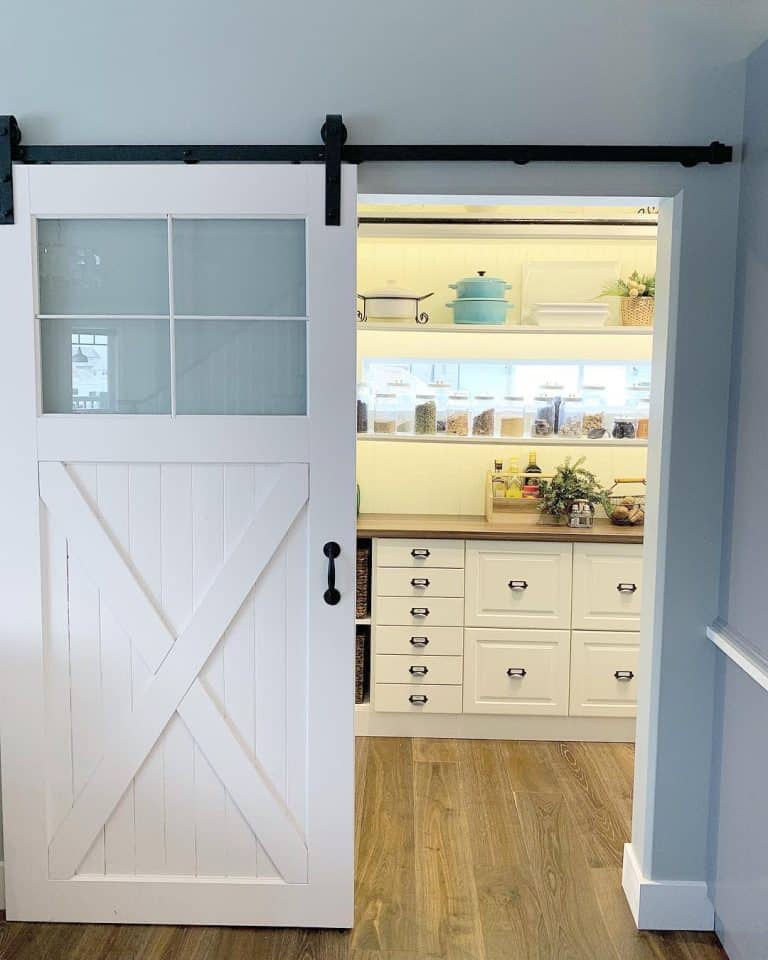 11 Pantry Door Design Ideas and Styles - Trendey