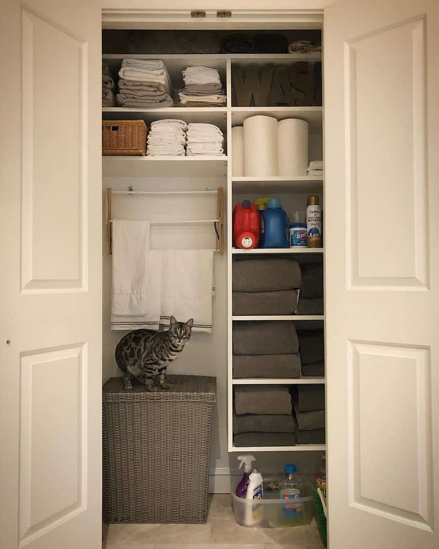 Bathroom closet shelves