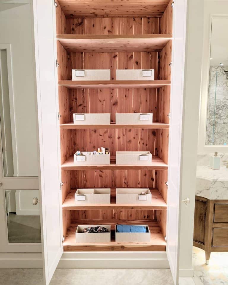 8 Bathroom Closet Organization Ideas Trendey