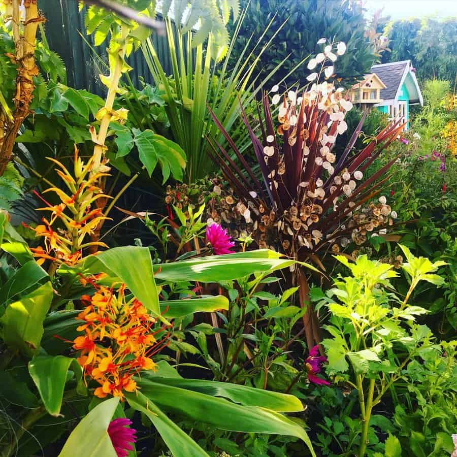 tropical garden with autumn flowering plants 