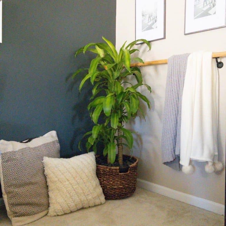 12 Clever Blanket Storage Ideas