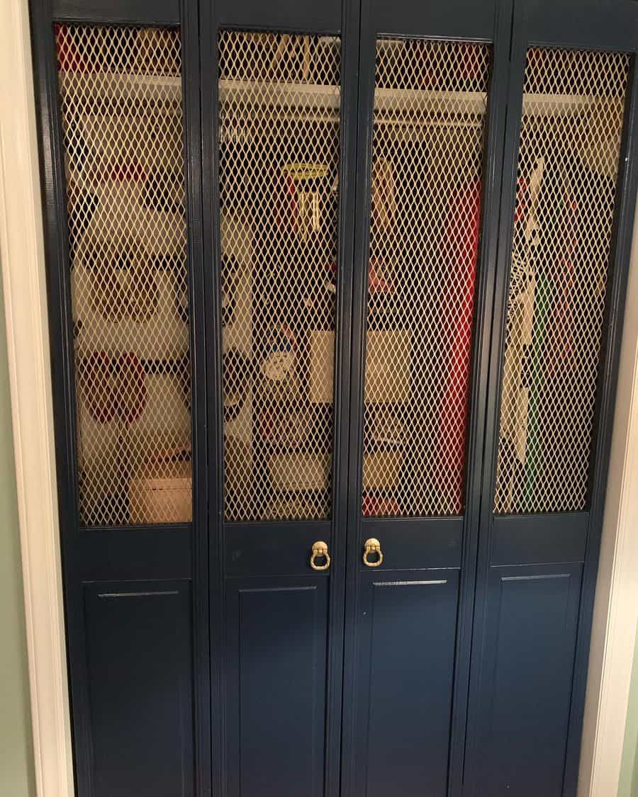 Dark blue cabinet with mesh doors showing a neatly organized interior, including folded clothes and boxes