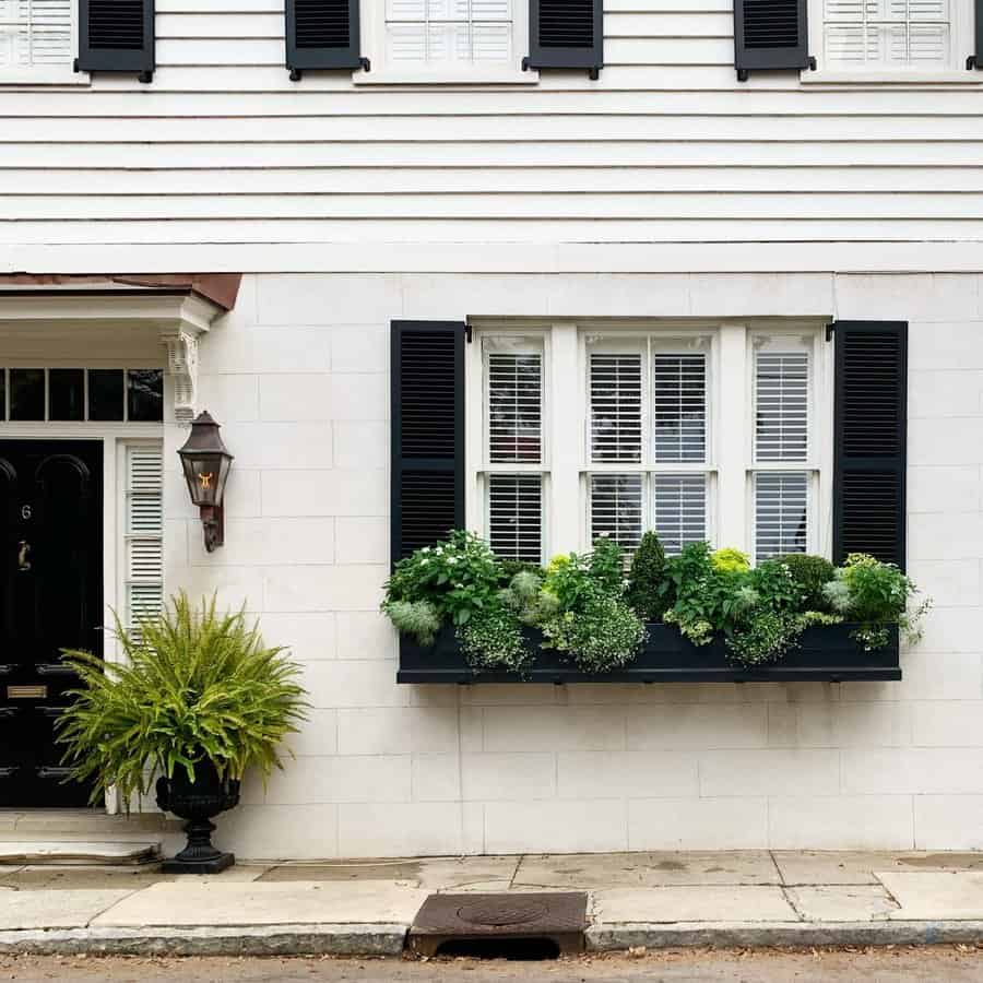 Window box arrangement with bushy plants