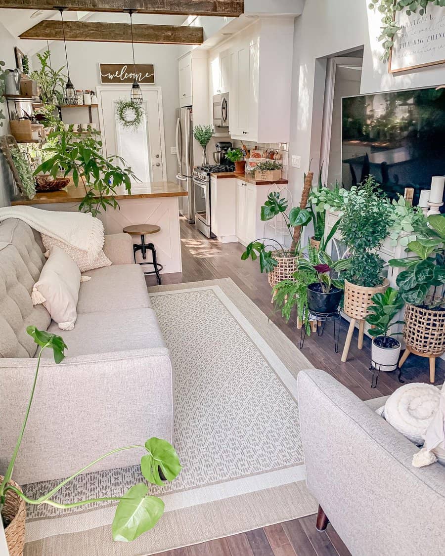 Bright living room with cozy seating, lush indoor plants, a white rug, and a kitchen in the background, accented by wood beams and decor