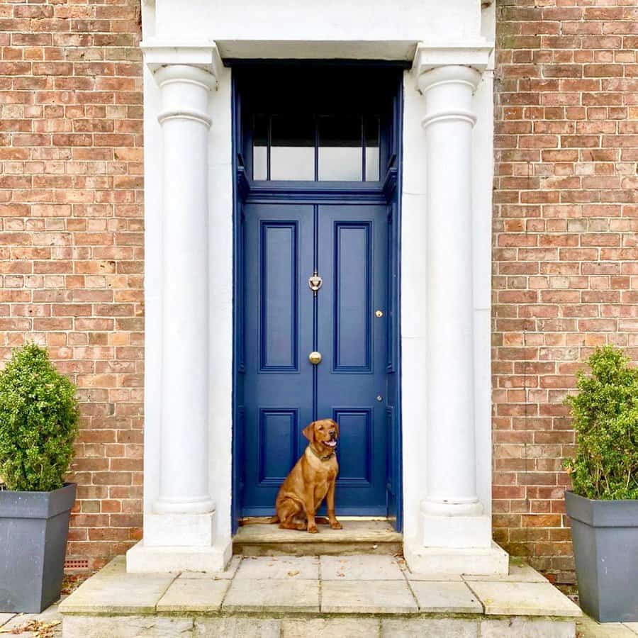 A brown dog sits in front of a tall Santorini blue door with white columns and brick walls, flanked by two potted shrubs