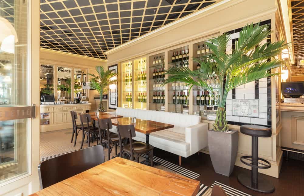 Cozy restaurant interior with wooden tables, white cushioned seating, decorative plants, and shelves filled with wine bottles