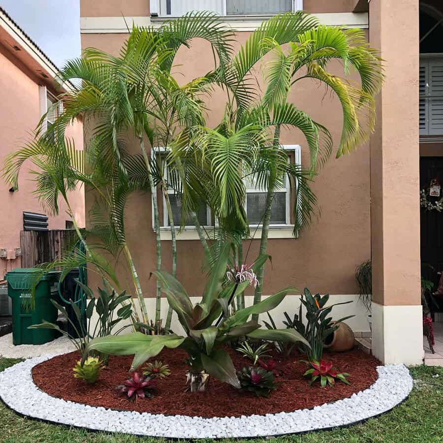 Tropical Florida front yard with palm trees, vibrant bromeliads, and a neat mulch bed bordered by white stones for a budget-friendly yet lush landscape design