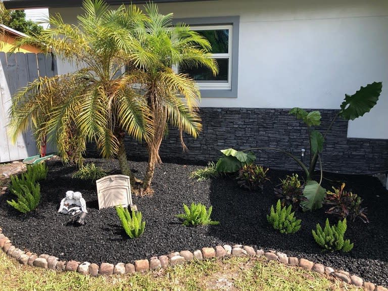 Florida front yard with drought-friendly palm trees, black mulch, and tropical plants, bordered by natural stones for a sleek, low-maintenance landscape design