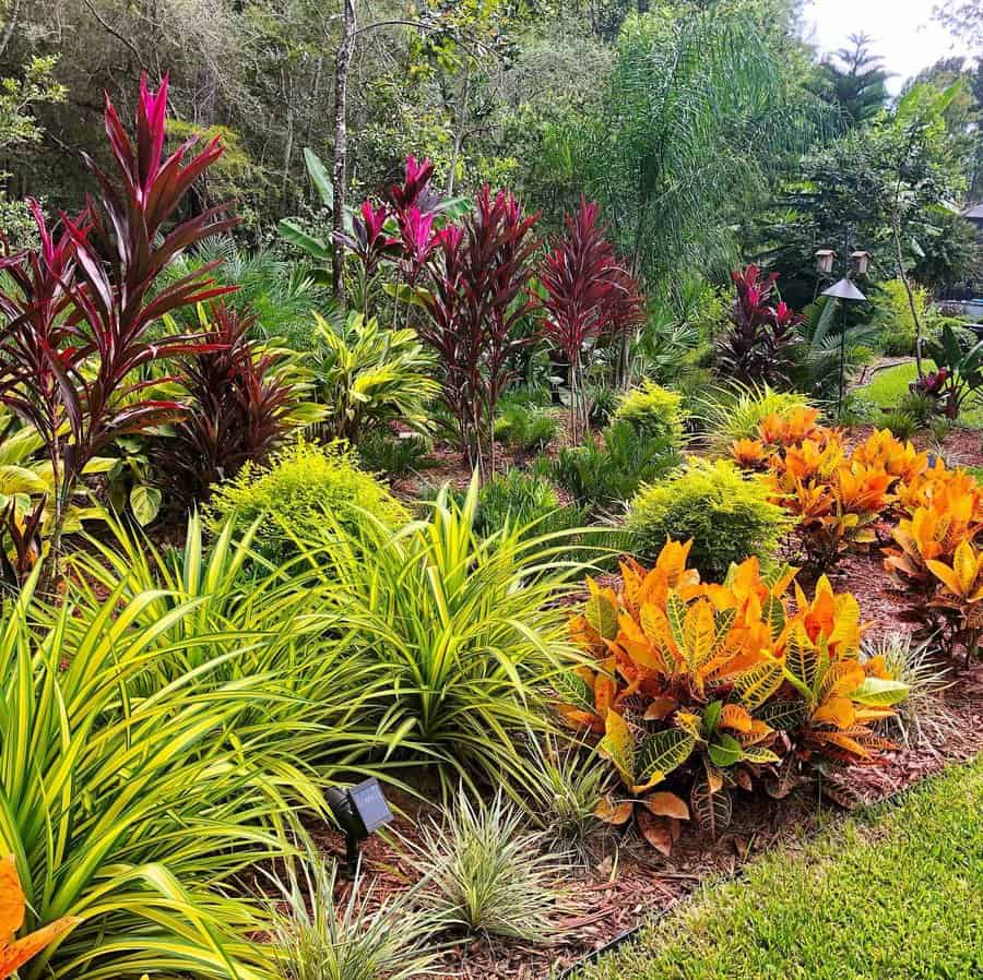 Vibrant Florida landscape with bold tropical plants, including red ti plants, bright crotons, and lush greenery, creating a colorful and dynamic garden design