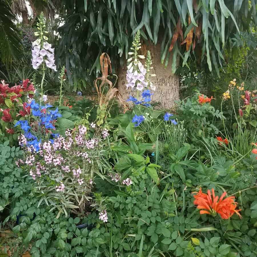 Lush Florida garden with vibrant wildflowers, including blue, pink, and orange blooms, creating a natural, colorful, and tropical landscape under a shady tree