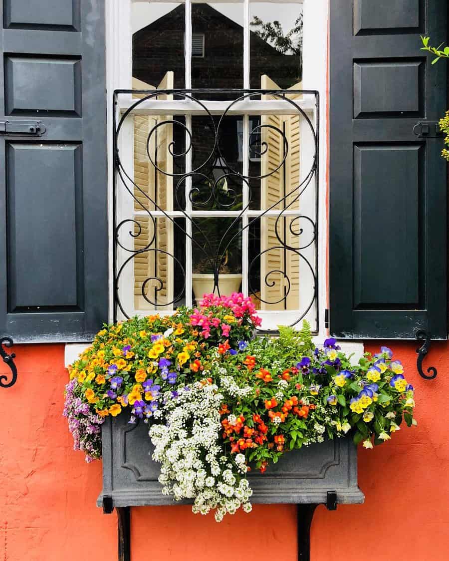 Window with vibrant flowers in a box planter