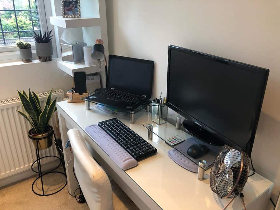 office desk with plants