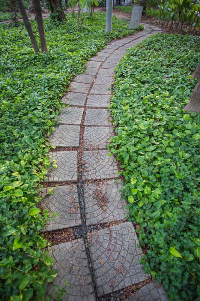 Patterned stone steps