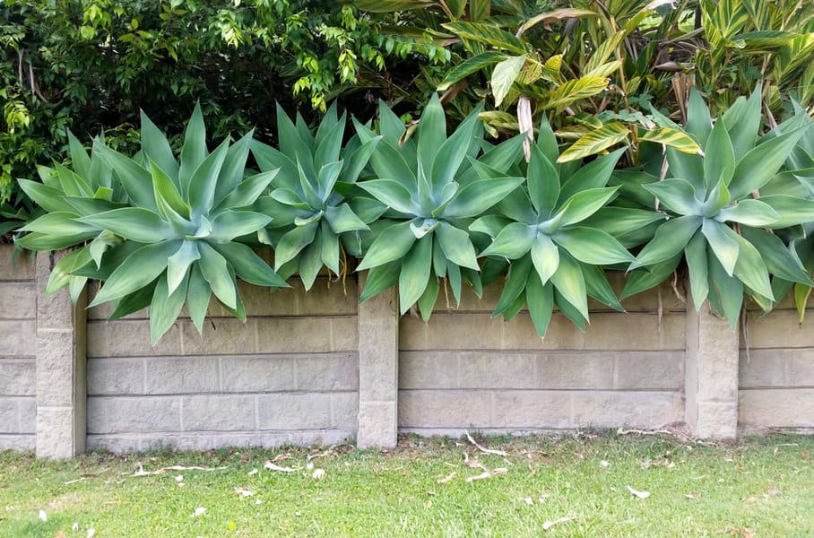 Stone block wall