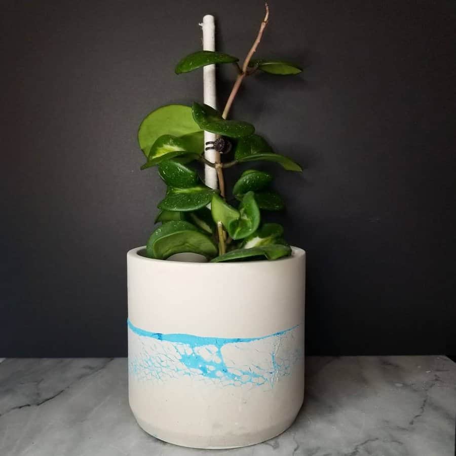 Concrete pot