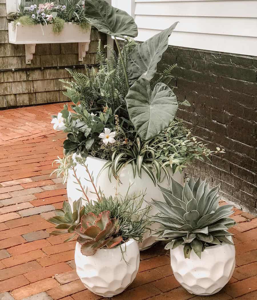 White ceramic pots