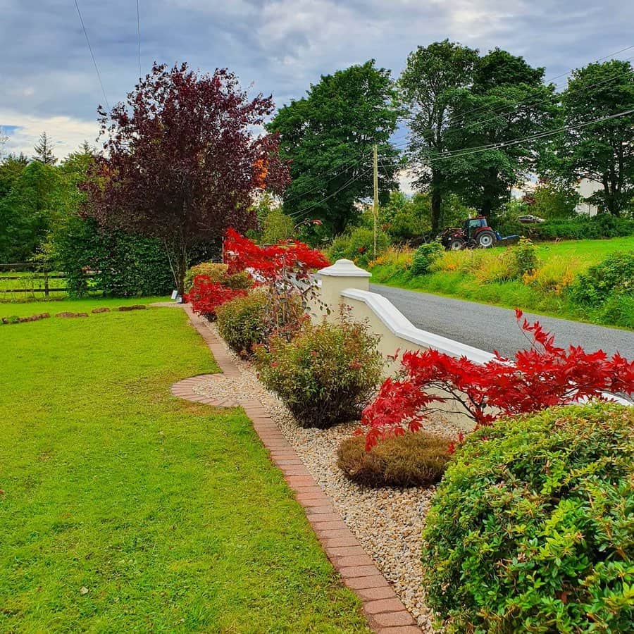 Charming countryside garden with red maple trees, neatly trimmed shrubs, gravel edging, and a white fence lining a rural road