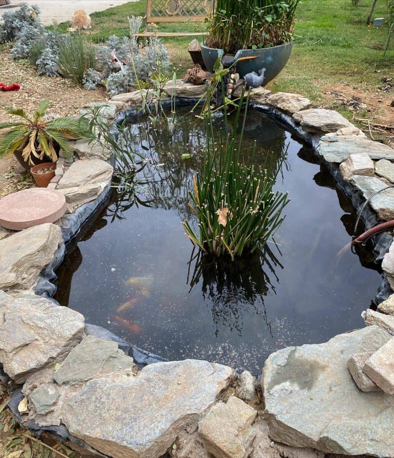 12 Backyard Pond Ideas - Trendey