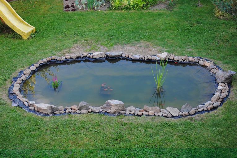 DIY backyard pond