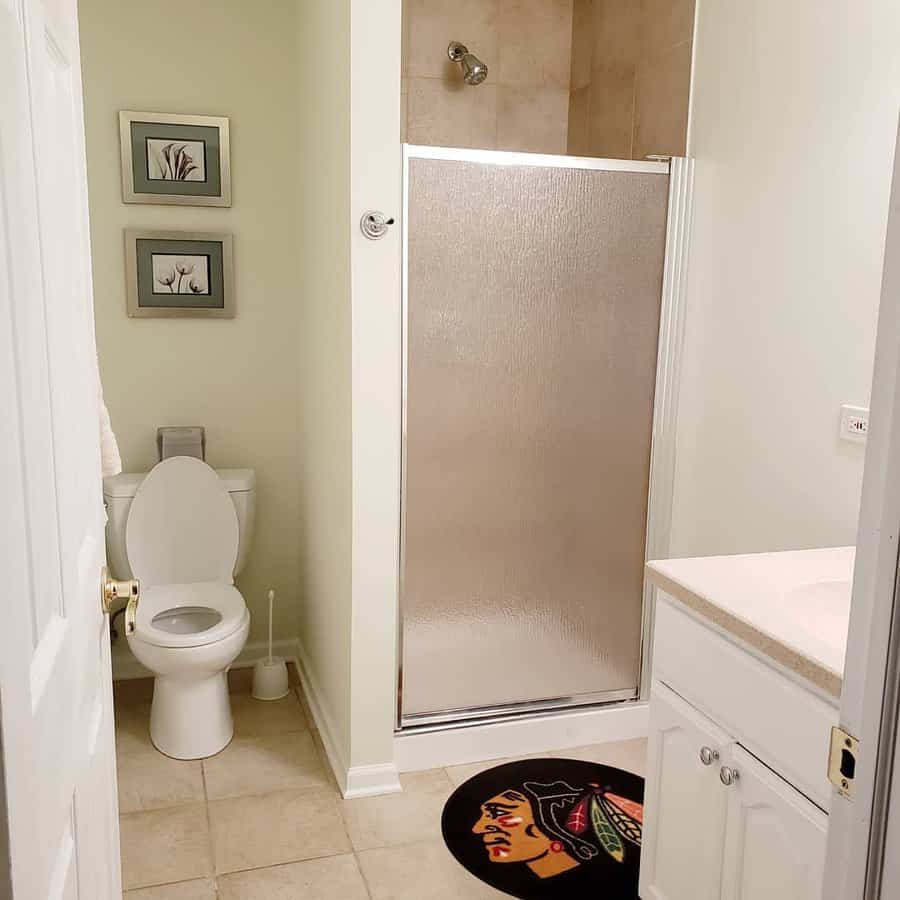 Basement bathroom with frosted shower door