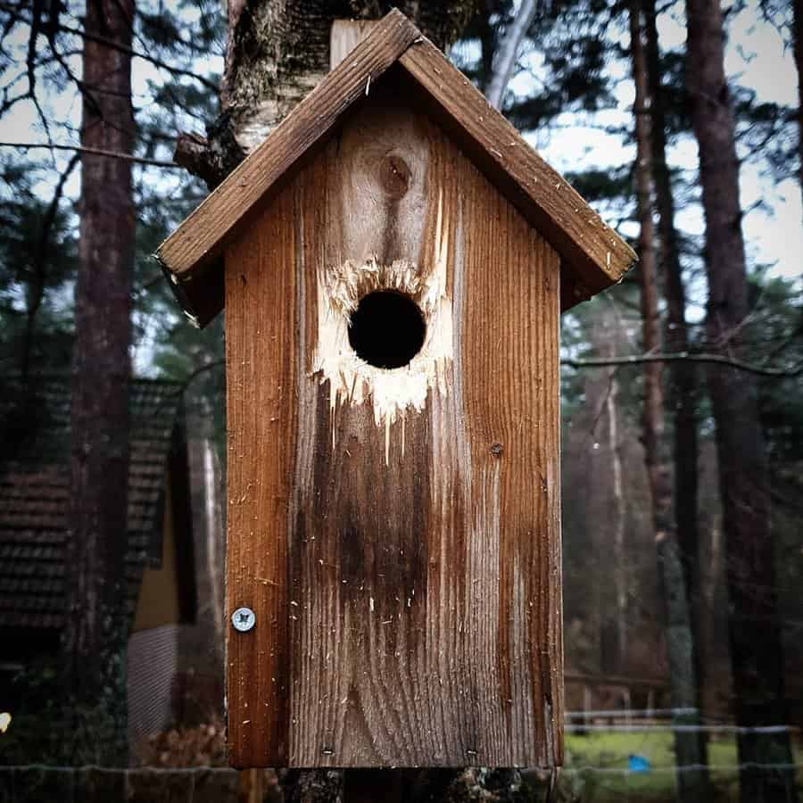 DIY tiny house replica birdhouse