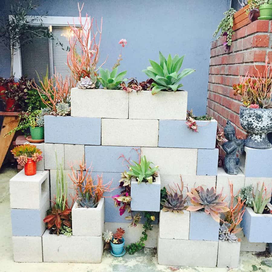 DIY cinder block for succulents