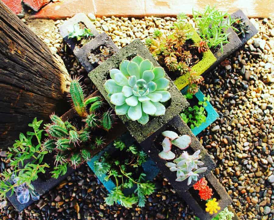 cinder block container for succulents