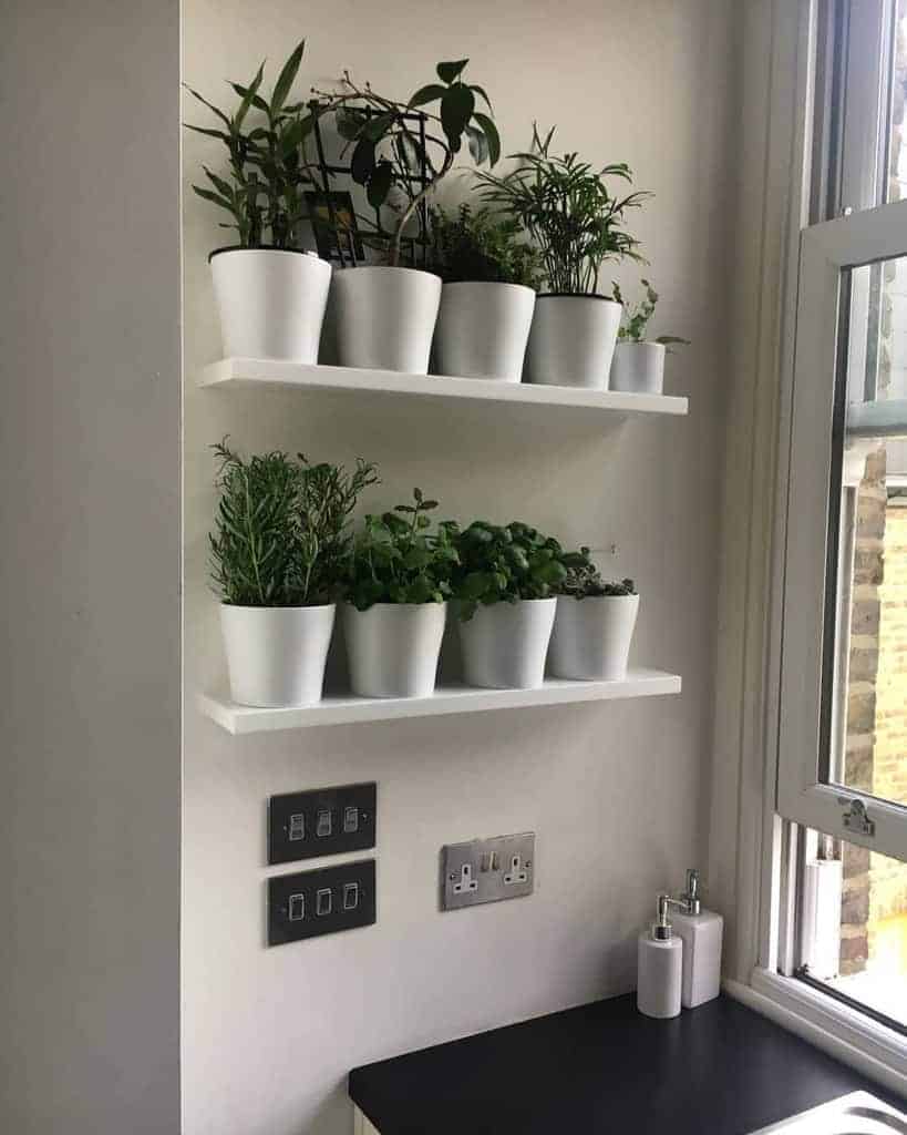 Two white shelves with potted green plants on a white wall near a window