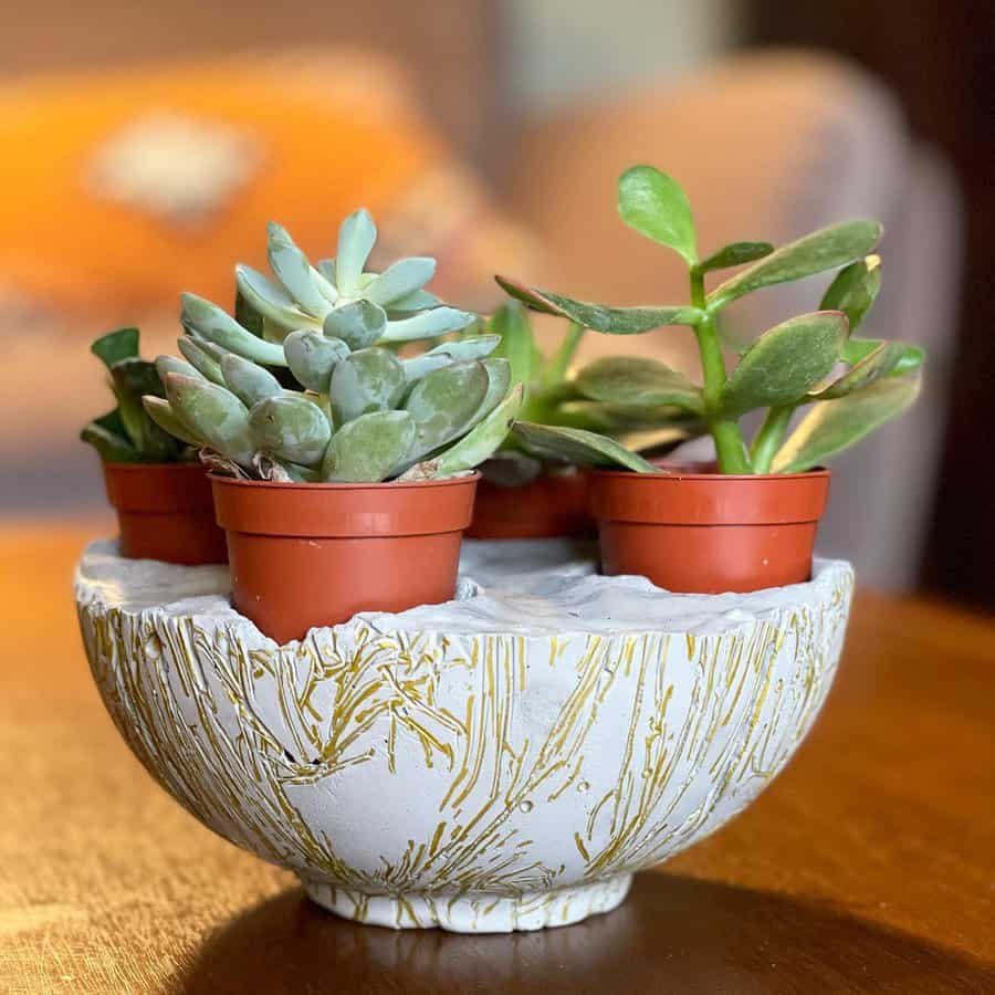 Desk planter 