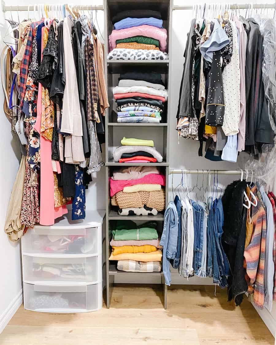 Small closet with built-in organizers