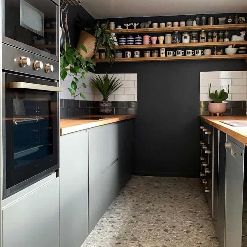 Small galley kitchen with dark walls