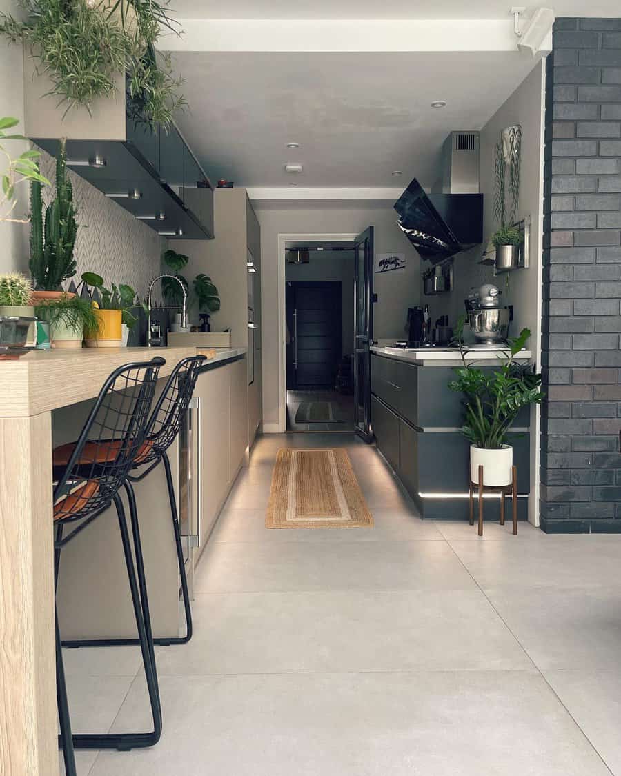 small galley kitchen with plants 