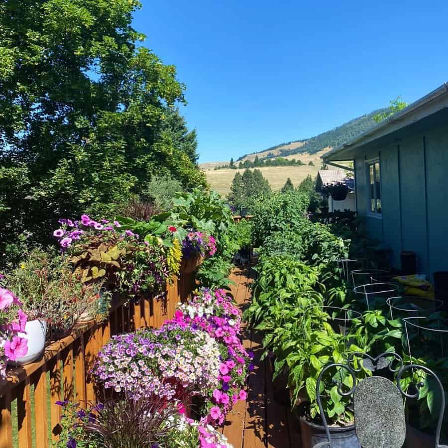 Purple container garden