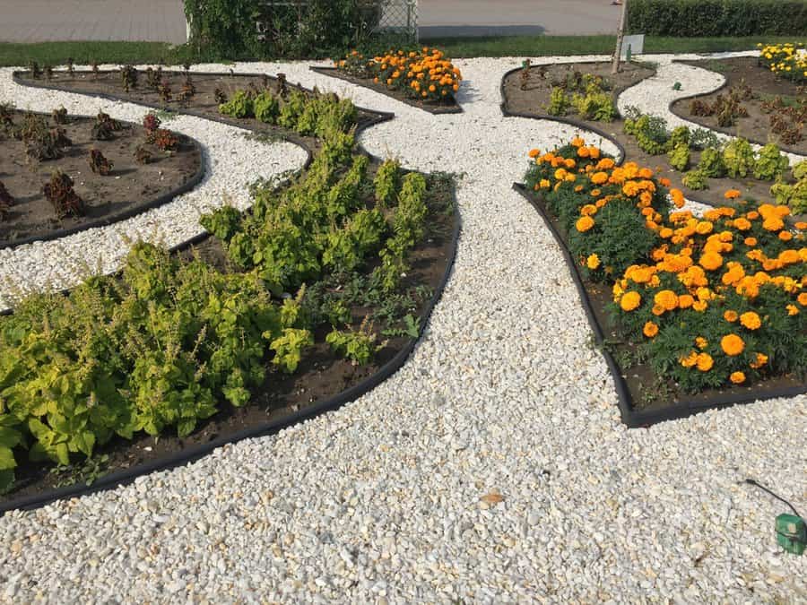 Wavy garden beds with gravel and marigolds