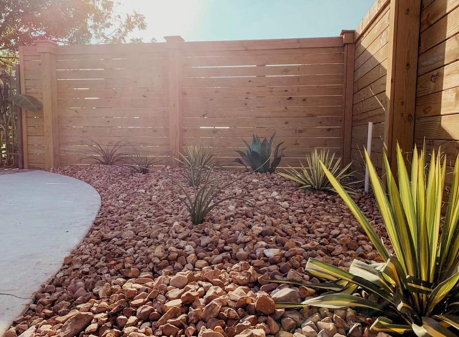 Desert-inspired backyard with wooden privacy fence, drought-tolerant plants, red rock mulch, and a curved concrete pathway