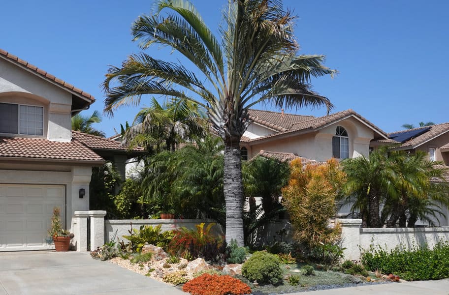 Suburban home with palm tree and xeriscape garden