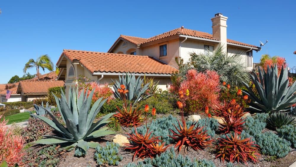 Home with succulent garden and red tile roof