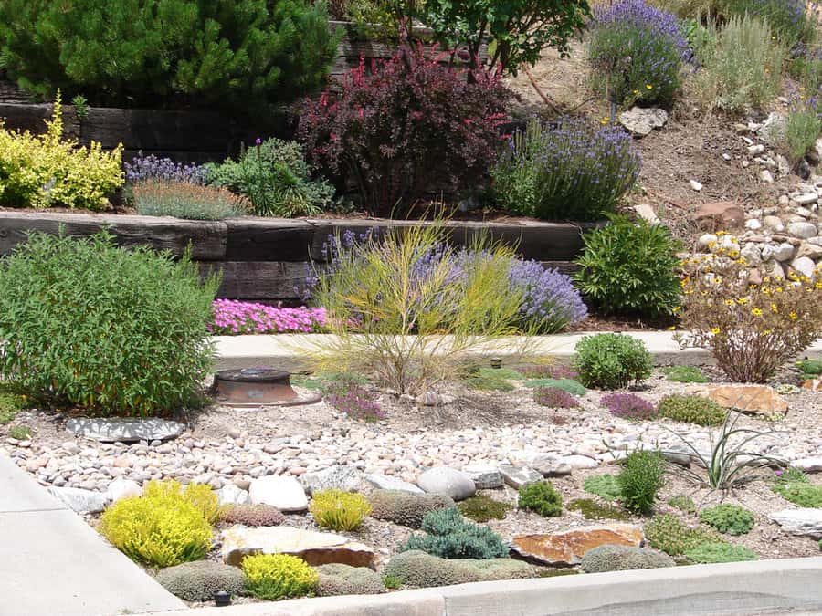Drought resistant garden with tiered railway sleepers