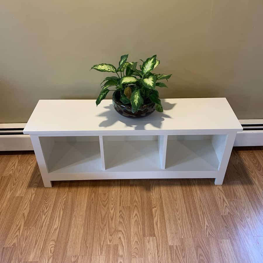 White bench with three compartments, holding a small potted plant with green leaves, on a wooden floor against a light green wall