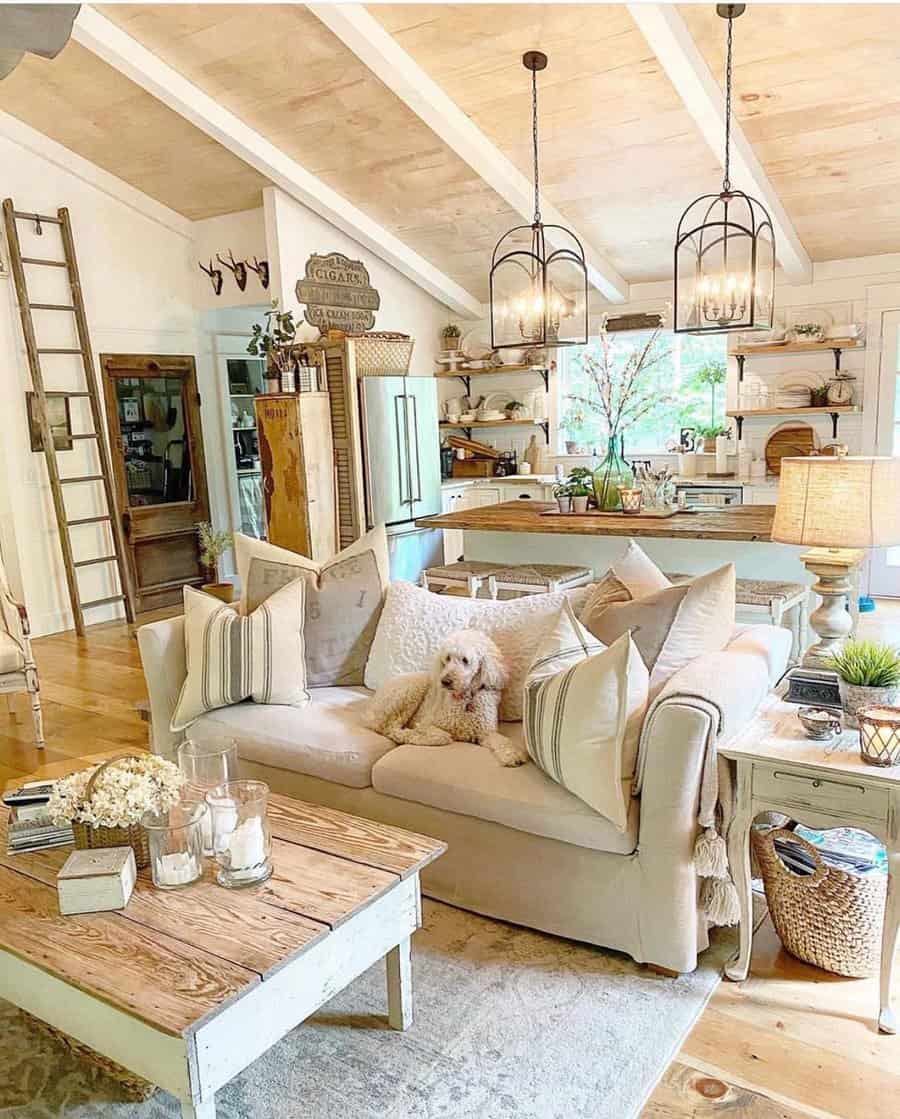 Cozy farmhouse-style open floor plan with rustic wood accents, vintage decor, and a relaxed living space featuring a comfy sofa and dog