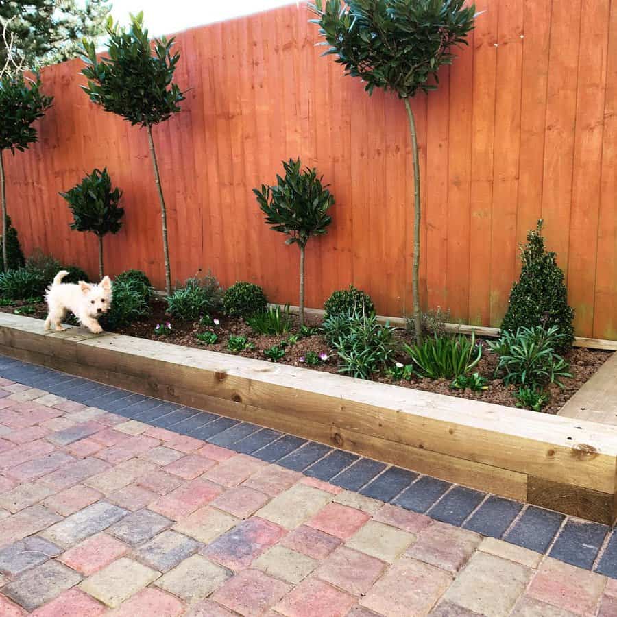 Front garden with fence