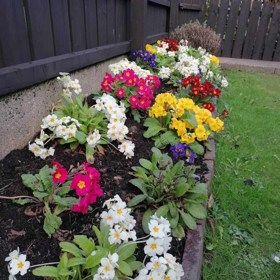 Front garden with fence