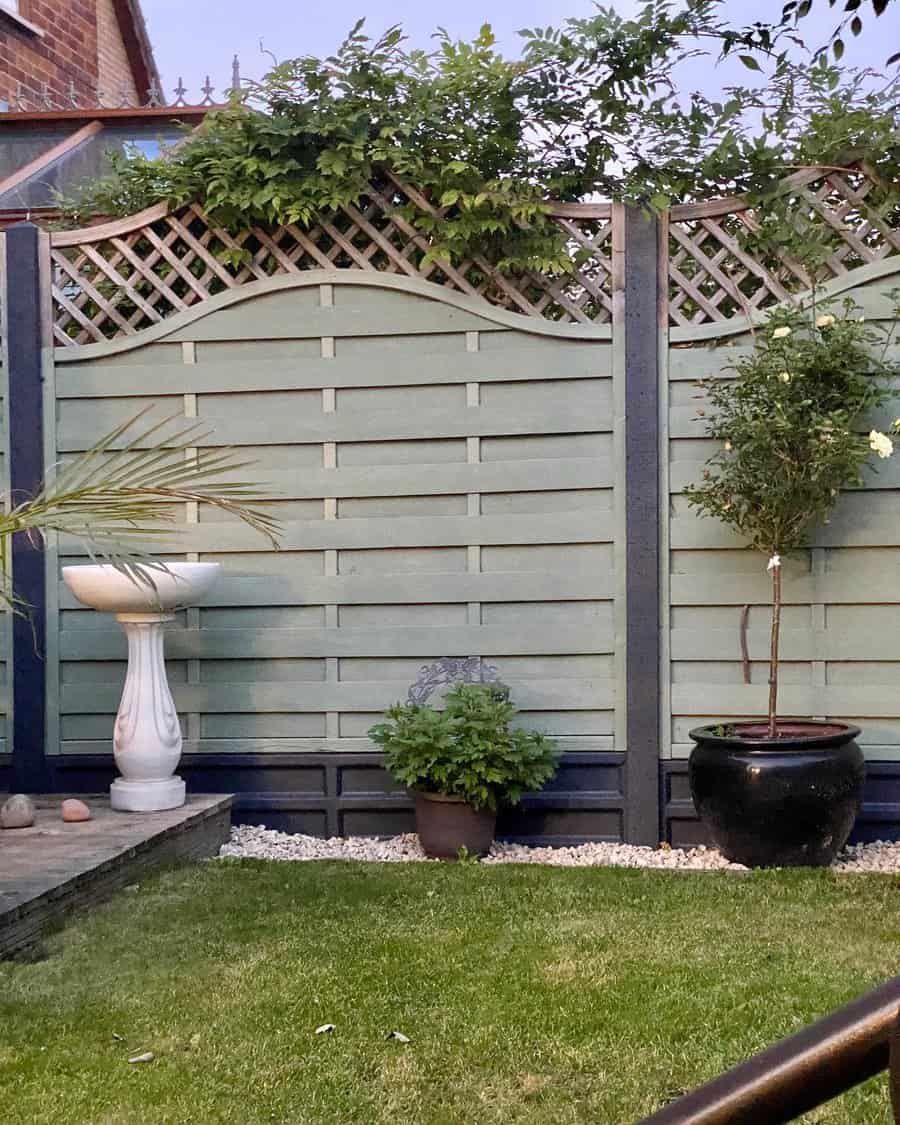 Garden scene with green fence, potted plants, and a white bird bath on grass, against a backdrop of ivy-covered fencing