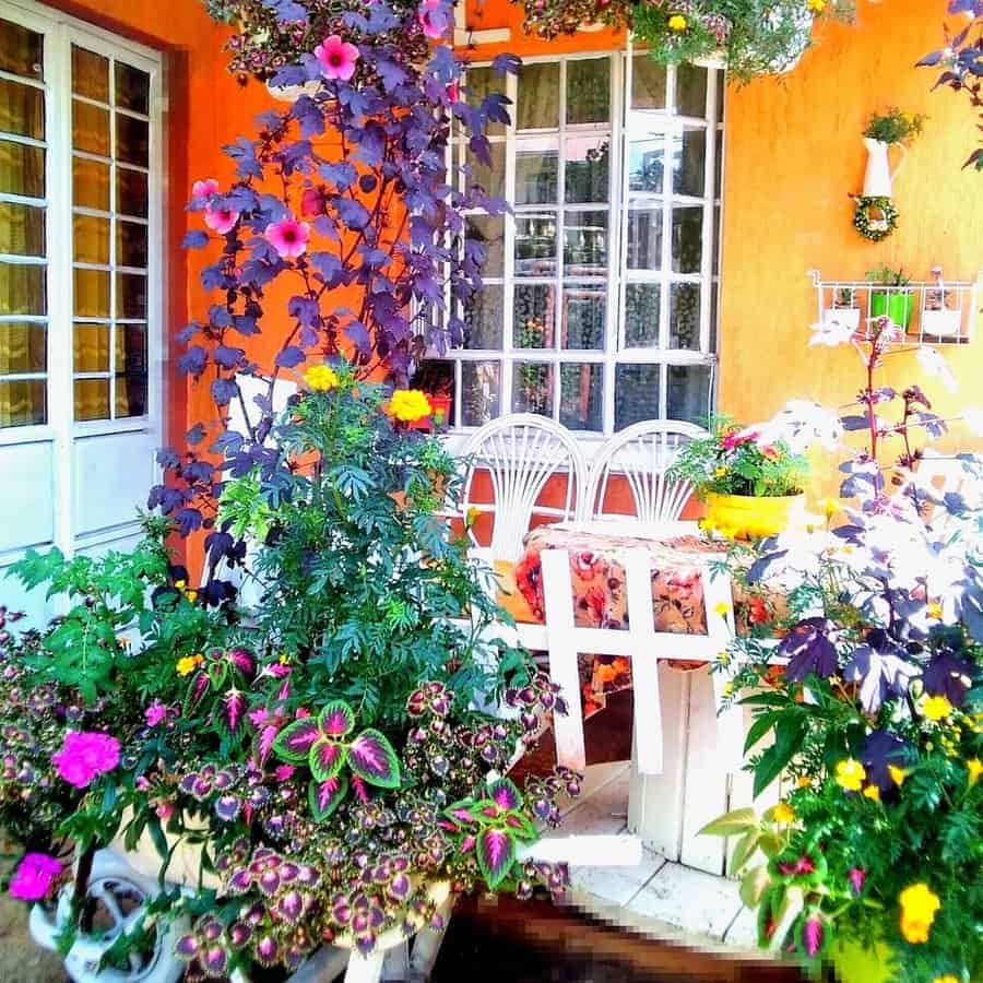 Vibrant patio with colorful flowers, white chairs, and an orange wall backdrop; abundant greenery enhances the cozy outdoor setting