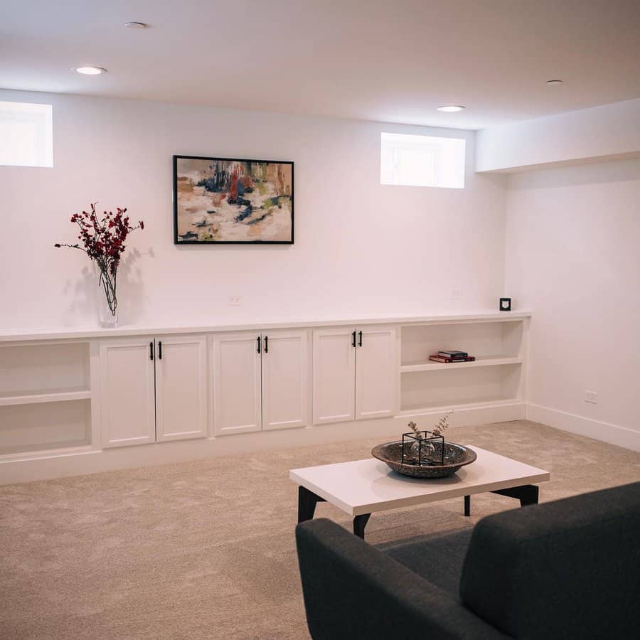 Low cabinet with countertop basement storage