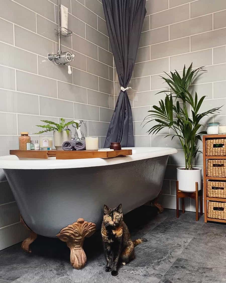 Gray bathroom with clawfoot tub and cat