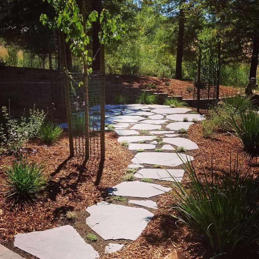 Flagstone path through garden with lush greenery