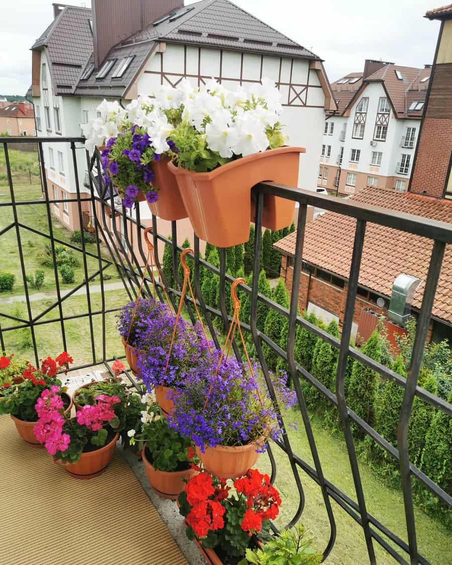 hanging plants on the railing