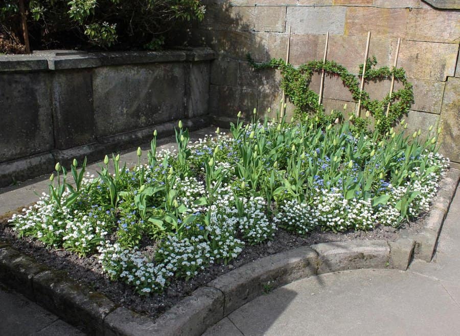 Flower bed ideas